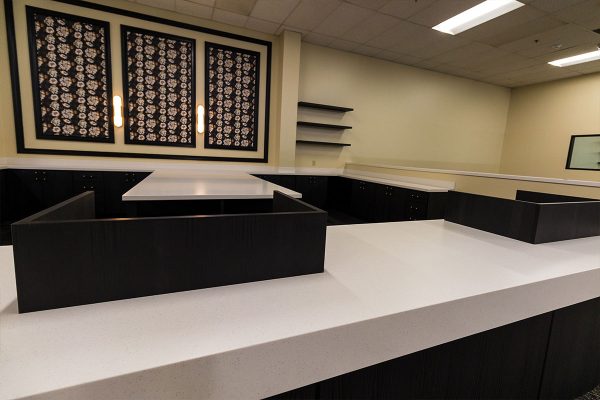 Southern Lion Construction